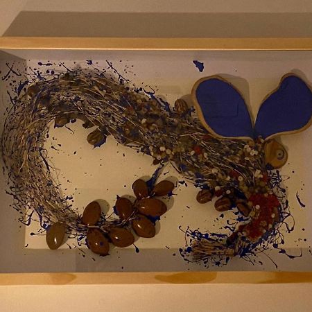 Hospedaria Boca Do Mato - Container Mambaí Екстериор снимка