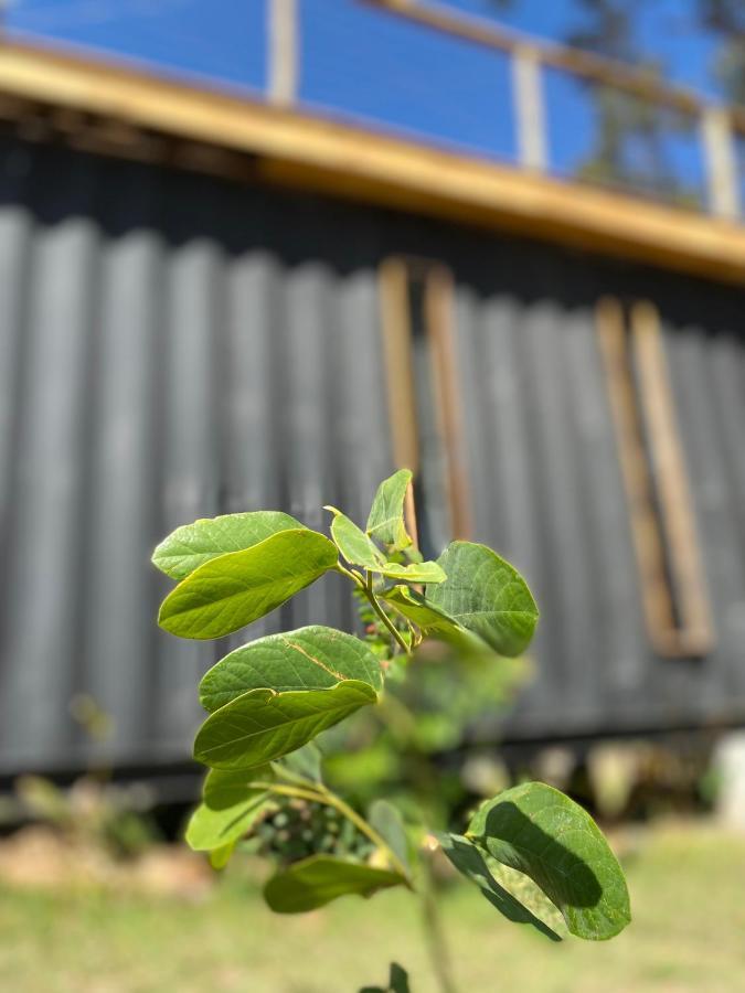 Hospedaria Boca Do Mato - Container Mambaí Екстериор снимка
